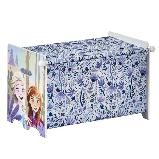 Disney Frozen Storage Box