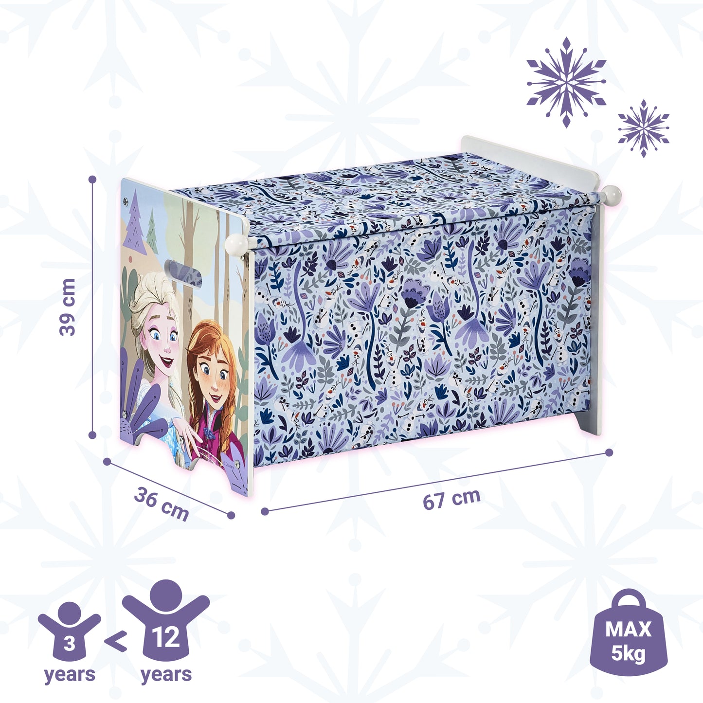 Disney Frozen Storage Box