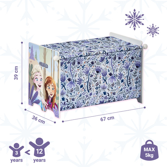 Disney Frozen Storage Box