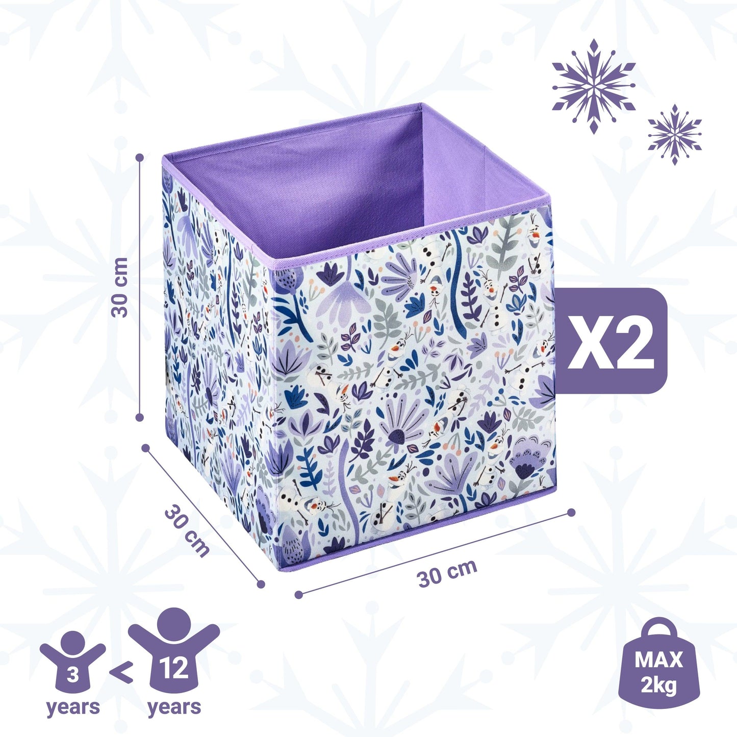 Disney Frozen 2-pc Fabric Storage Boxes
